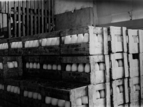Opslagplaats consumptiemelk zuivelbedrijf De Toekomst, Moorslede, 1948-1966