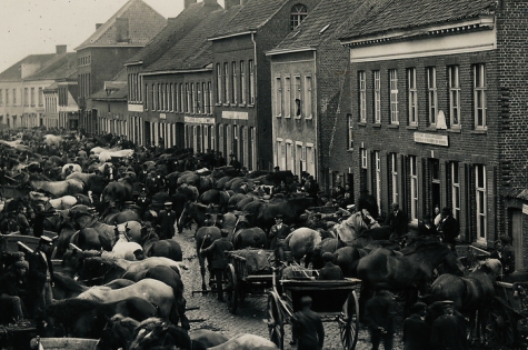 De paardenmarkt van Lichtervelde ca. 1910