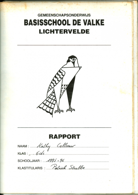 Voorbeeldrapport, Lichtervelde, 1995-1996