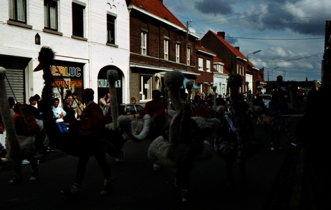 Tap en Torrestoet Dadizele: struisvogels, 15 mei 1983