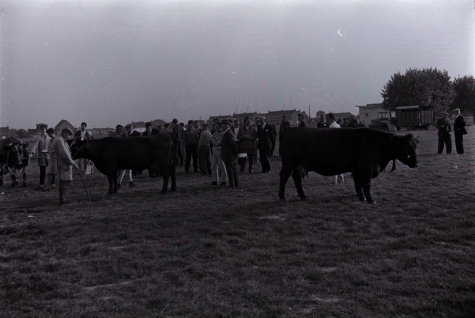 Veeprijskamp, Staden september 1971