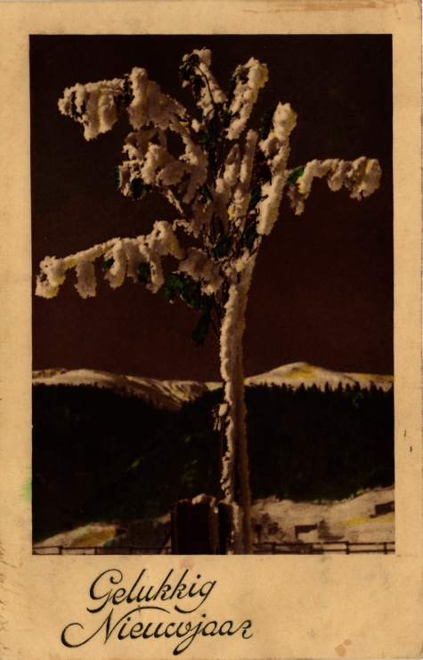 Beeldzijde nieuwjaarskaart, besneeuwde boom in berglandschap
