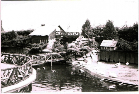 Aviflora, 1994, Ingelmunster