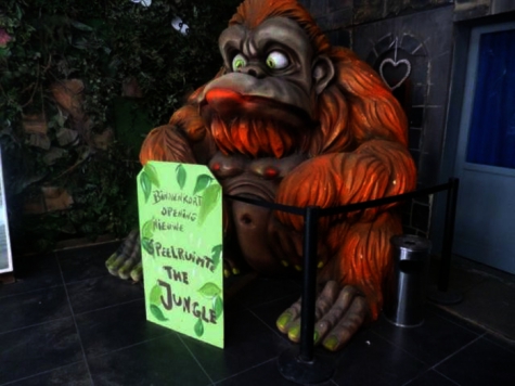 Speelruimte De Jungle Aviflora, 2015, Ingelmunster