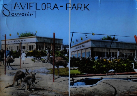 Postkaarten Aviflora, Ingelmunster