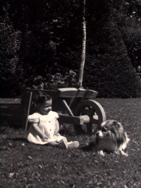 Raad van Bestuurslid, Daisy Decoene