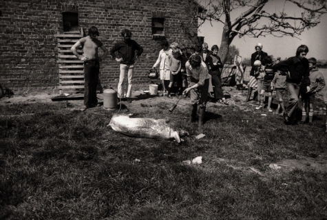Kinderboerderij, Westrozebeke mei 1977
