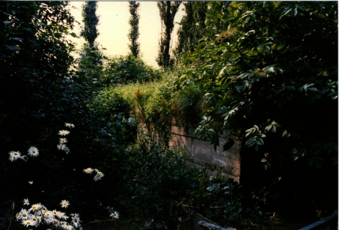 Duitse bunker