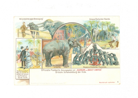 Officiële postkaart van het Barnum en Bailey circus met olifanten