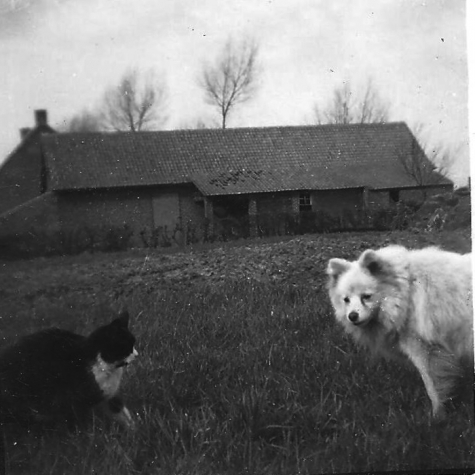 Boerderij, Gits