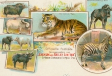 Postkaart Barnum and Bailey limited Postkaart Barnum and Bailey limited