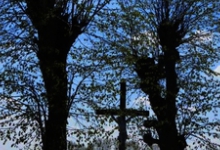 Kruis tussen bomen, Gits