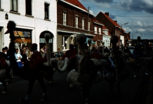 Tap en Torrestoet Dadizele: struisvogels, 15 mei 1983 Tap en Torrestoet Dadizele: struisvogels, 15 mei 1983
