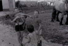 Kinderen op boerderij van M. Geldof, Staden juli 1972 Kinderen op boerderij van M. Geldof, Staden juli 1972