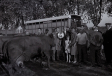 Veeprijskamp, Staden 1969 Veeprijskamp, Staden 1969