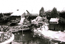 Aviflora, 1994, Ingelmunster