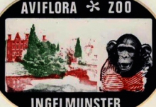 Sticker Aviflora zoo, Ingelmuster