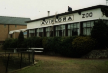 Gebouw Aviflora Zoo, Ingelmuster