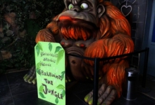 Speelruimte De Jungle Aviflora, 2015, Ingelmunster