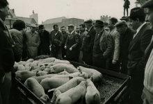 Zwijnenmarkt