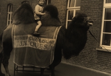 Raad van Bestuurslid Christelle Dejonckheere