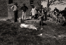 Kinderboerderij, Westrozebeke mei 1977 Kinderboerderij, Westrozebeke mei 1977