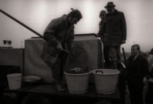 Uitzetten van vis in visvijver, Moorslede 1976