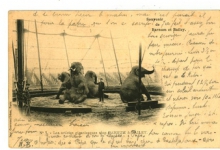 Postkaart met de gigantische artiesten van het Barnum en Bailey circus Postkaart met de gigantische artiesten van het Barnum en Bailey circus