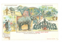 Officiële postkaart van het Barnum en Bailey circus met olifanten Officiële postkaart van het Barnum en Bailey circus met olifanten
