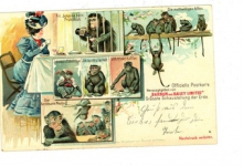 Officiële postkaart van het Barnum en Bailey circus met apen Officiële postkaart van het Barnum en Bailey circus met apen
