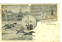 Postkaart van het Barnum en Bailey circus met paardenshows Postkaart van het Barnum en Bailey circus met paardenshows
