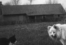 Boerderij, Gits Boerderij, Gits