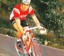 Patrick Sercu, Izegem, 1964-1983