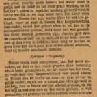 De Belgische keukenmeid