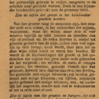 De Belgische keukenmeid
