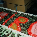 Chiro Gits, Chirojaar 1995 - 1996