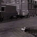 Vinkenzetting in Rust- en Verzorgingstehuis, juli 1974