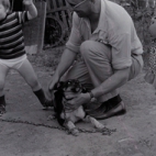 Kinderen op boerderij van M. Geldof, Staden juli 1972
