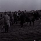Veeprijskamp, Staden september 1971
