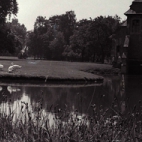 Kasteel en park Sterrebos, Rumbeke 1970