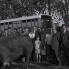 Veeprijskamp, Staden 1969