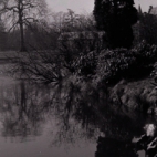 Kasteel en park Sterrebos, Rumbeke (Roeselare) 1969