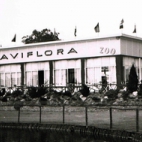 Aviflora, 1994, Ingelmunster