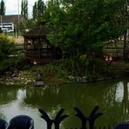 Vijvers Aviflora, Ingelmunster