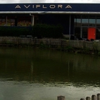 Vijvers Aviflora, Ingelmunster