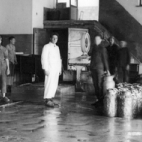 Melkontvangst, melkerij W. Hennion en N. Van Speybroeck, Moorslede, 1942