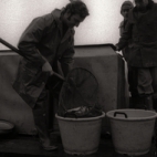 Uitzetten van vis in visvijver, Moorslede 1976