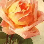 Romantische correspondentie (deel 2), Ingelmunser