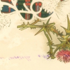 Franstalige menukaart 1906