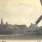 Molen, Dadizele